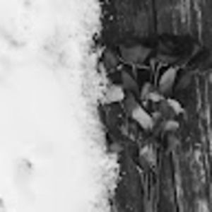 Meet your Posher, Naomi